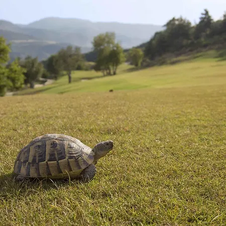 Ege Golf Agacli (Aydin)